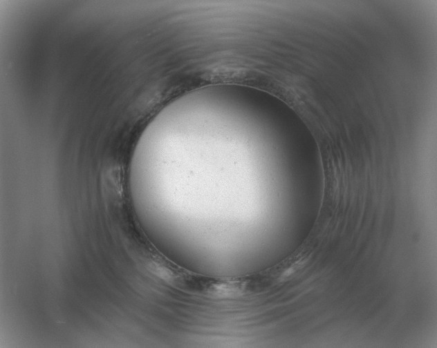 X0000061120232200512022201