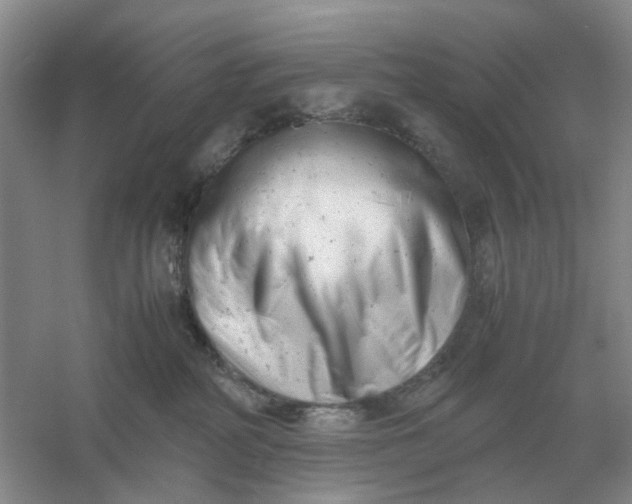 X0000061120234200512022201