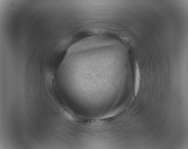 X0000061120235200512022201
