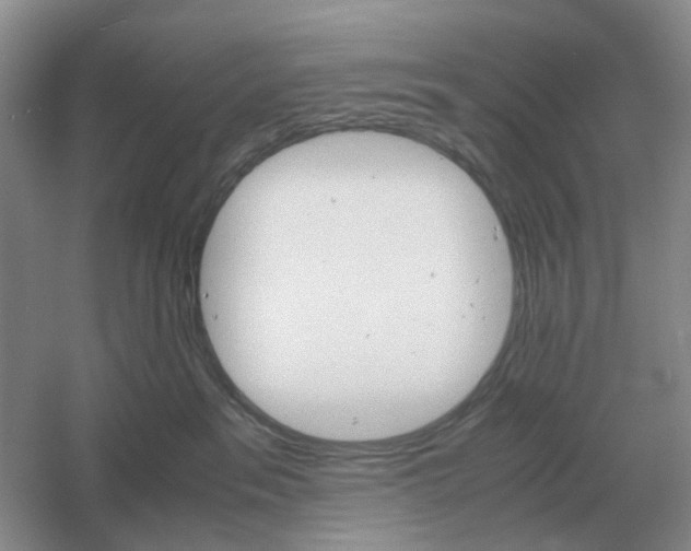 X0000061120237200512022201