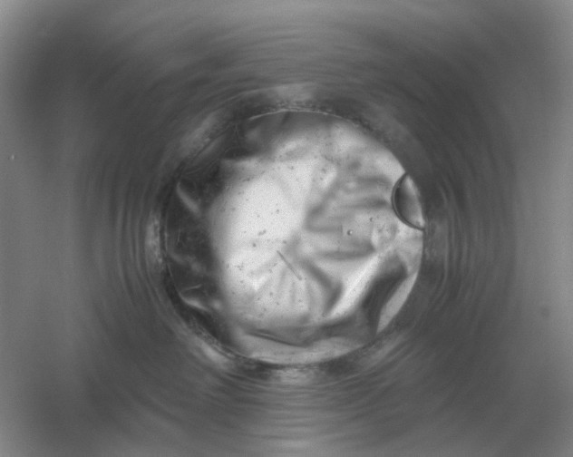 X0000061120238200512022201
