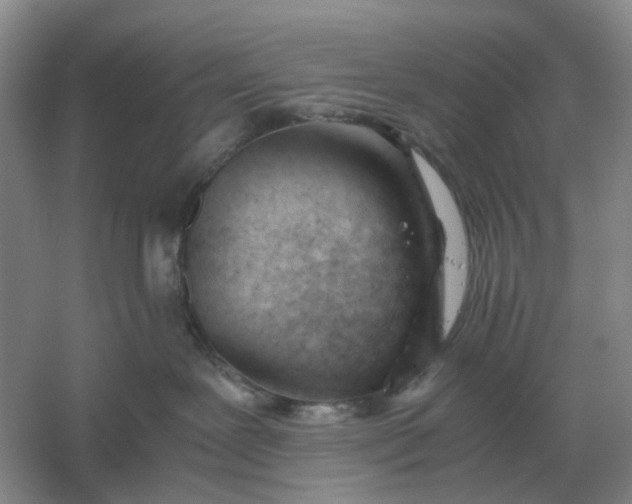 X0000061120239200512022201