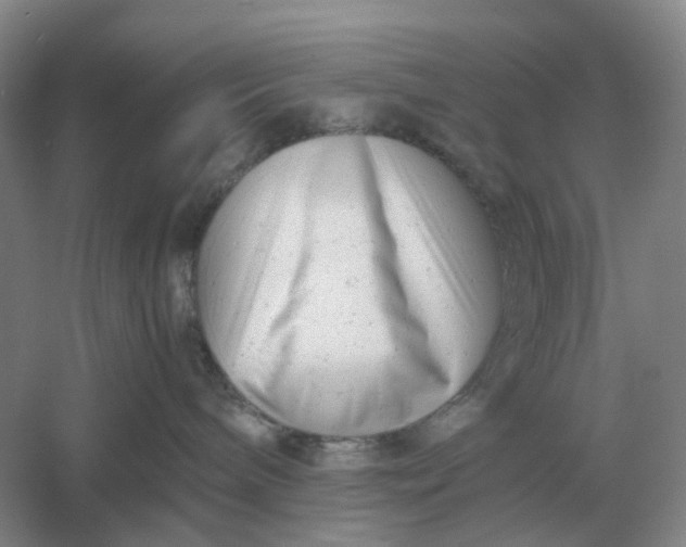X0000061120240200512022201