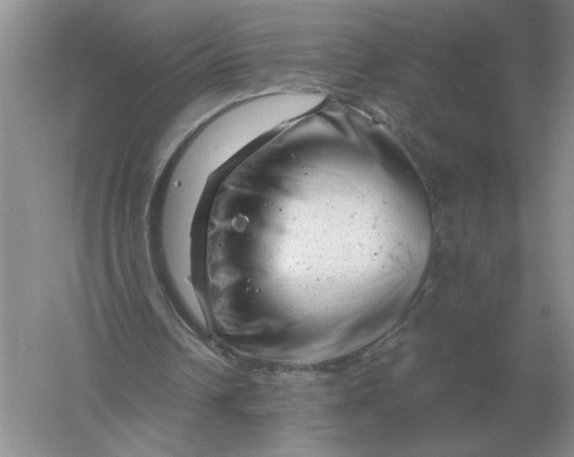 X0000061120242200512022200