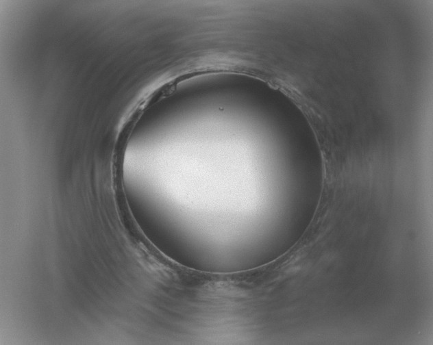 X0000061120244200512022200