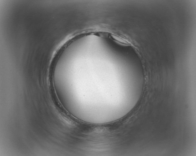 X0000061120248200512022200
