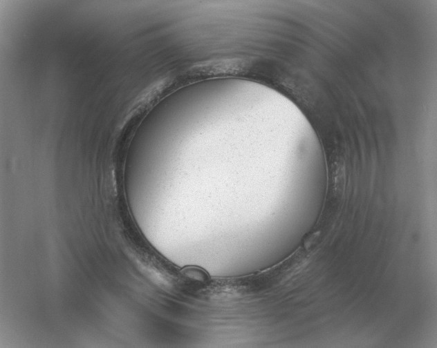 X0000061120254200512022200