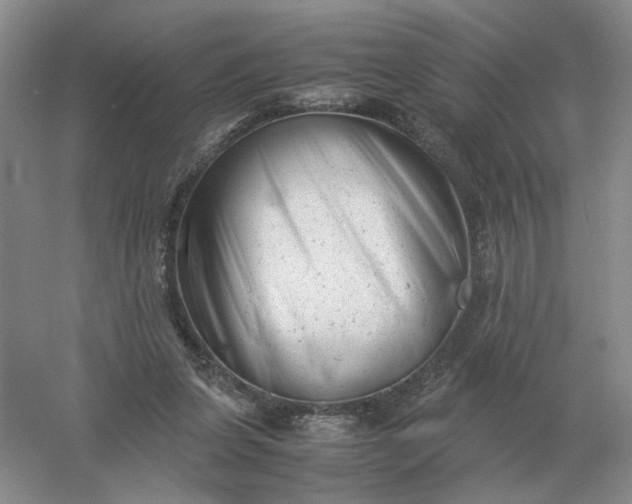 X0000061120255200512022200