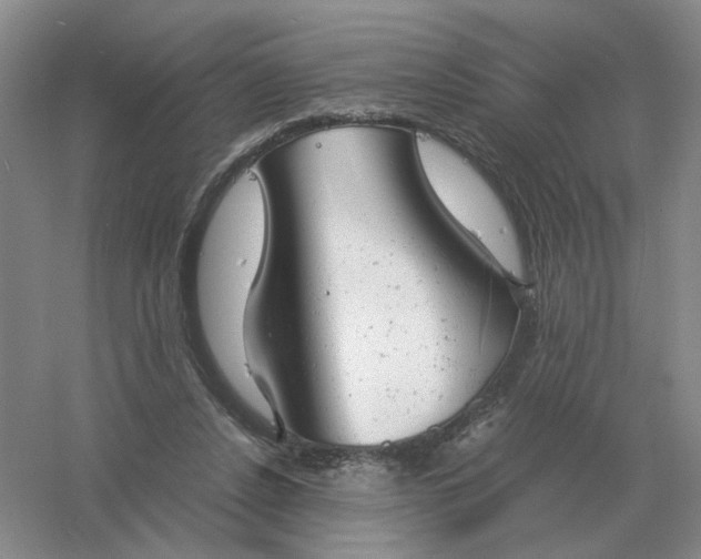 X0000061120256200512022200
