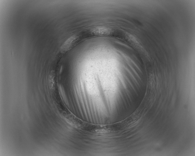 X0000061120259200512022200