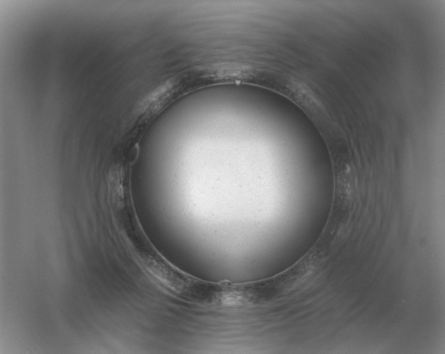 X0000061120264200512022200
