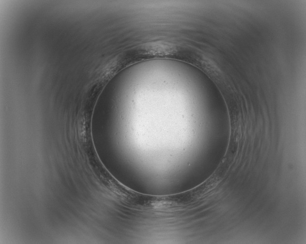 X0000061120268200512022200