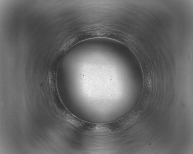 X0000061120270200512022200