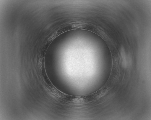 X0000061120271200512022200
