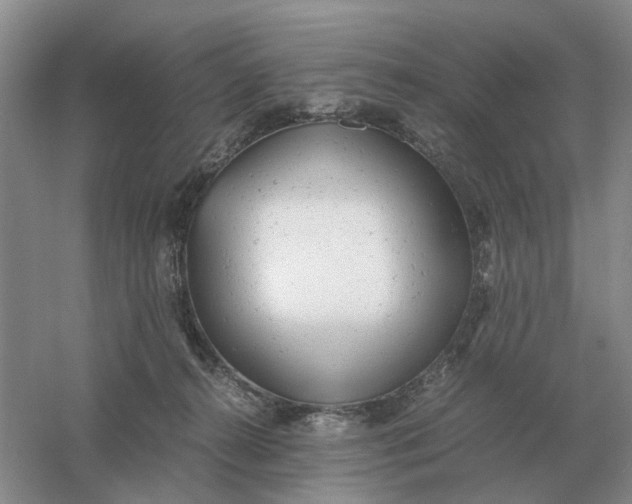 X0000061120272200512022200