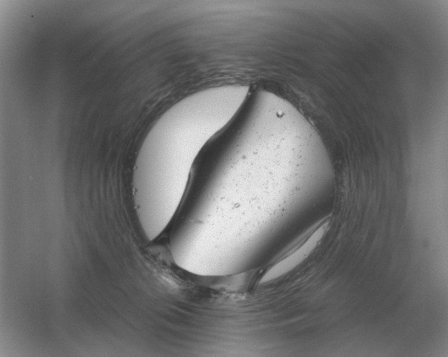 X0000061120276200512022200