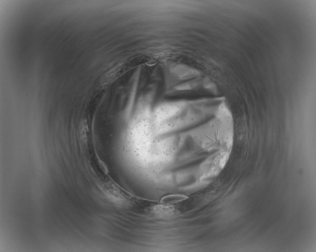 X0000061120279200512022201