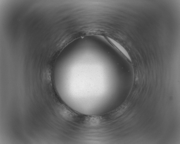 X0000061120282200512022201