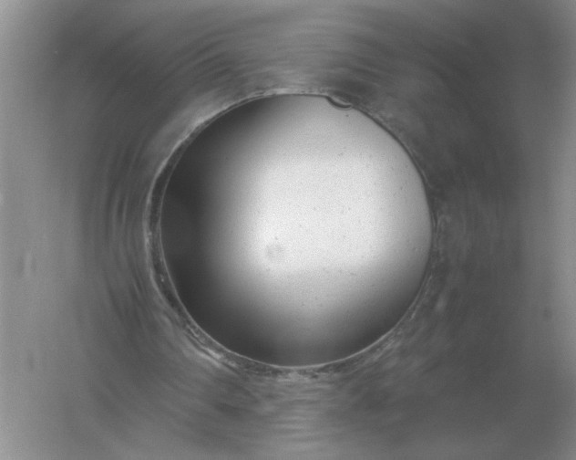 X0000061120290200512022200