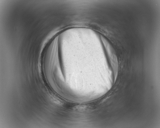 X0000061120294200512022200