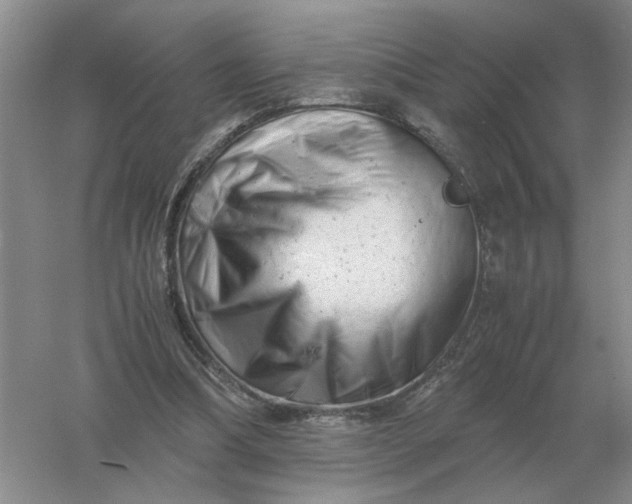 X0000061120298200512022200