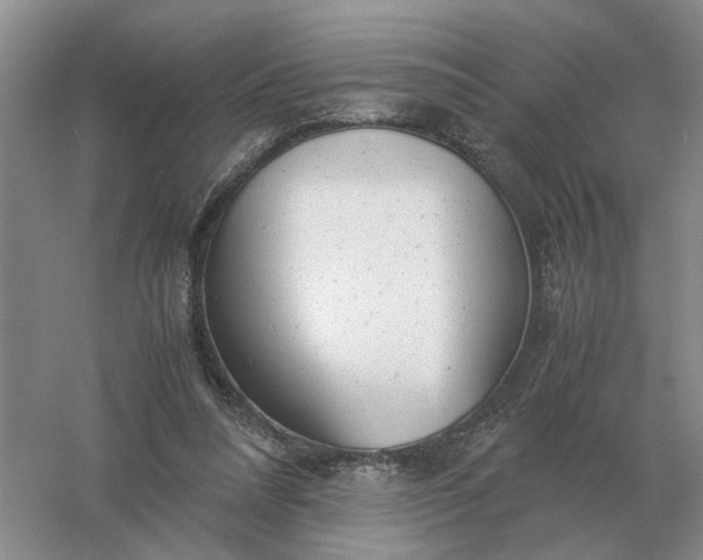 X0000061120304200512022200