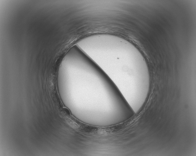 X0000061120305200512022200