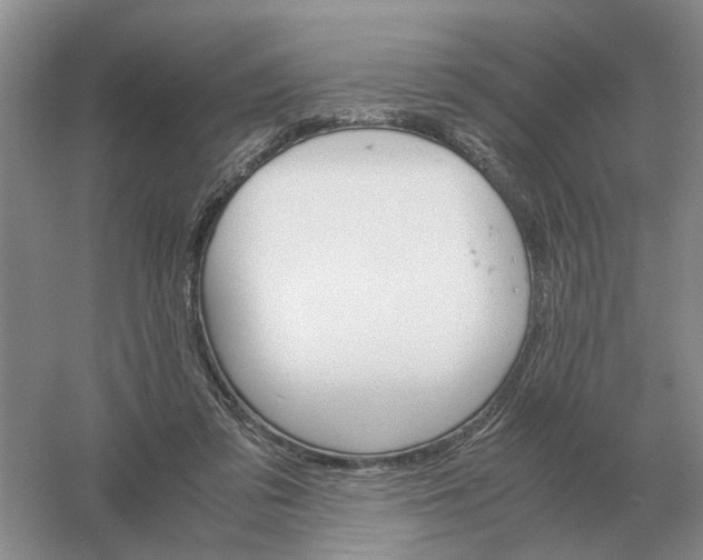 X0000061120309200512022159