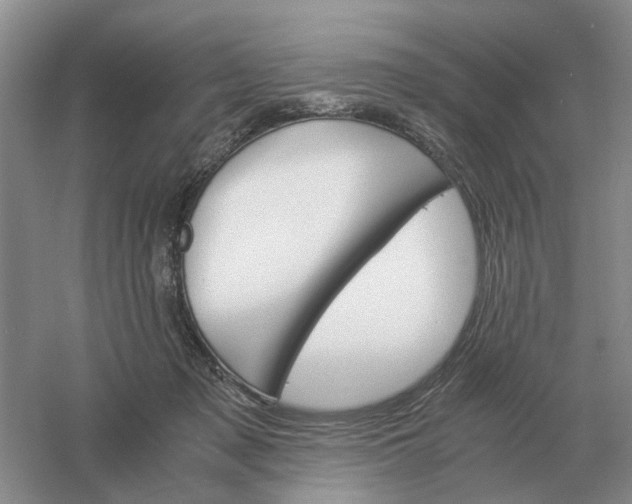 X0000061120317200512022159