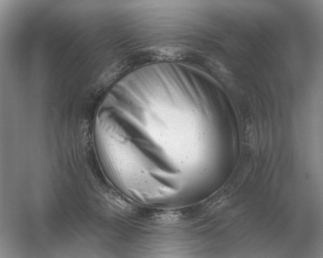 X0000061120318200512022159