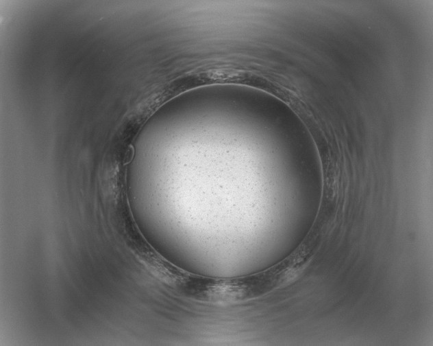 X0000061120319200512022159
