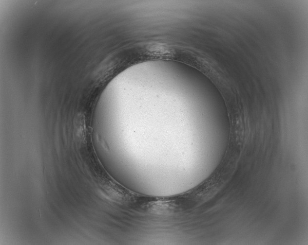 X0000061120320200512022159