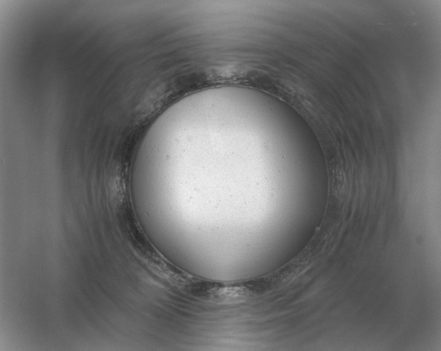 X0000061120324200512022159