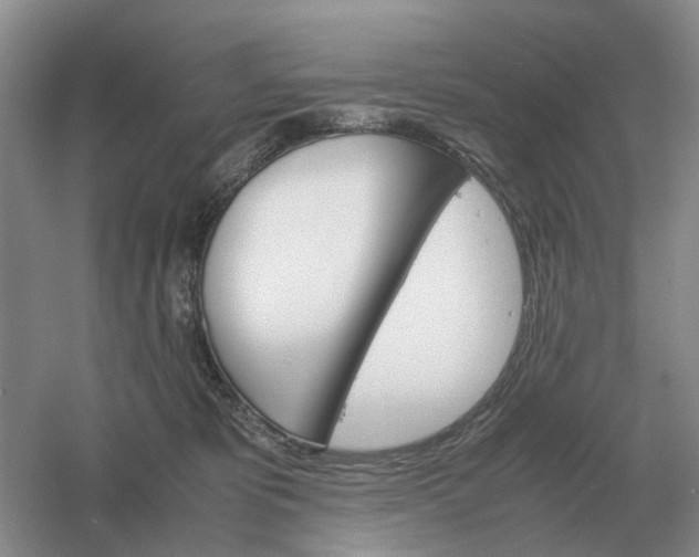 X0000061120325200512022159
