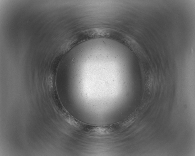 X0000061120326200512022159