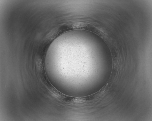 X0000061120327200512022159