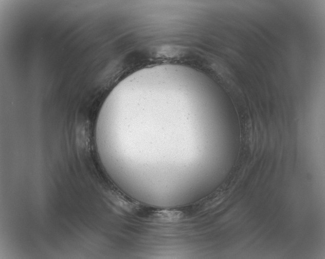 X0000061120328200512022159