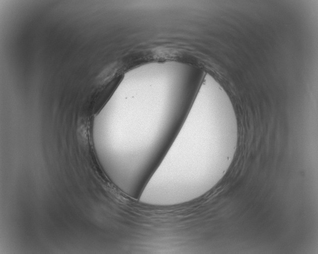 X0000061120329200512022159