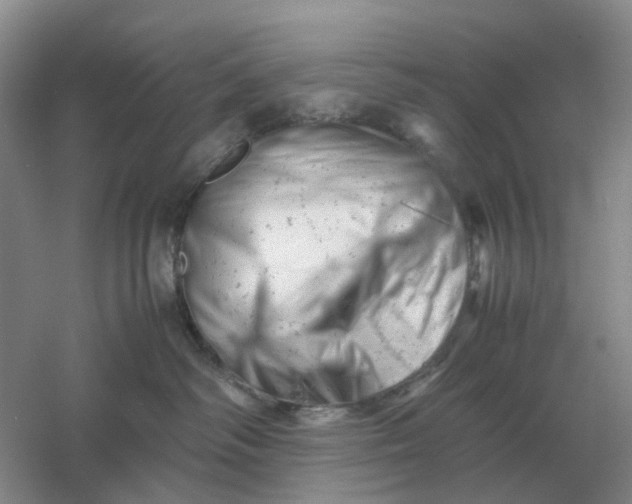 X0000061120334200512022159