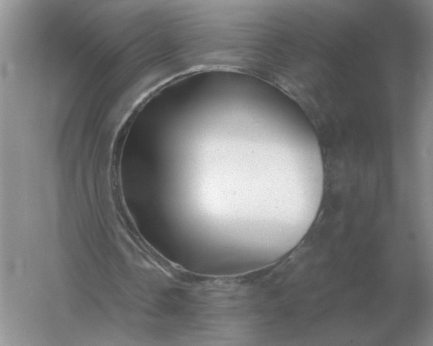 X0000061120338200512022158