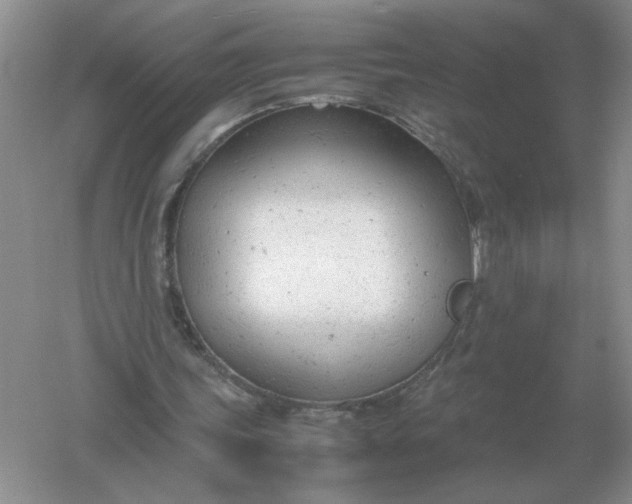 X0000061120339200512022158