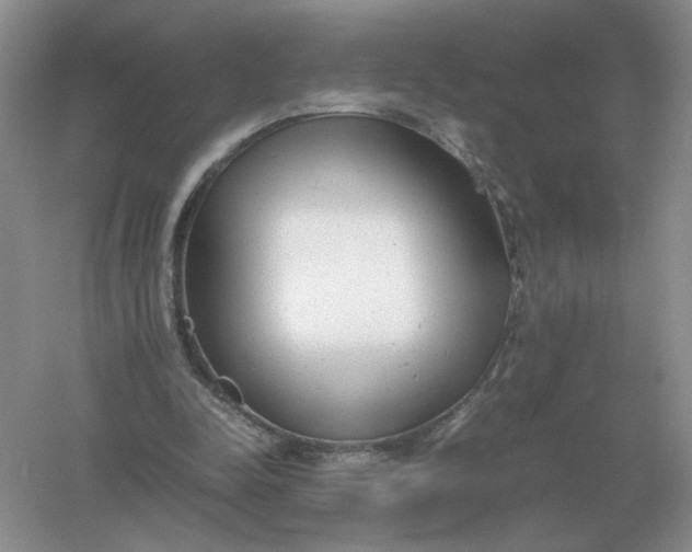X0000061120342200512022158