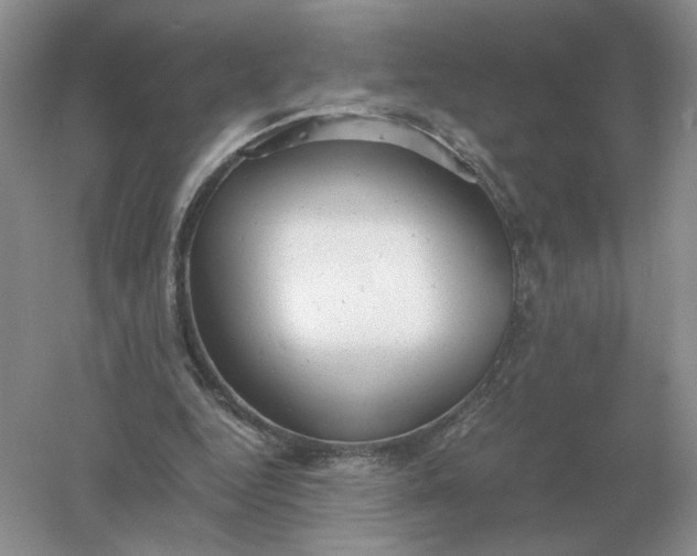 X0000061120344200512022158