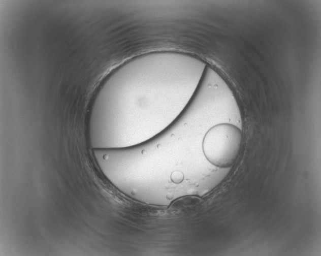 X0000061120345200512022158