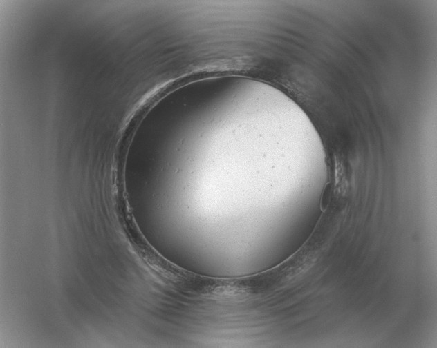 X0000061120348200512022158