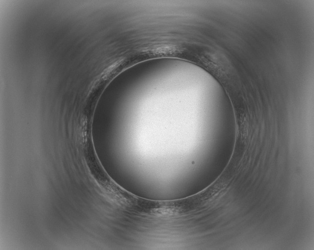 X0000061120356200512022158