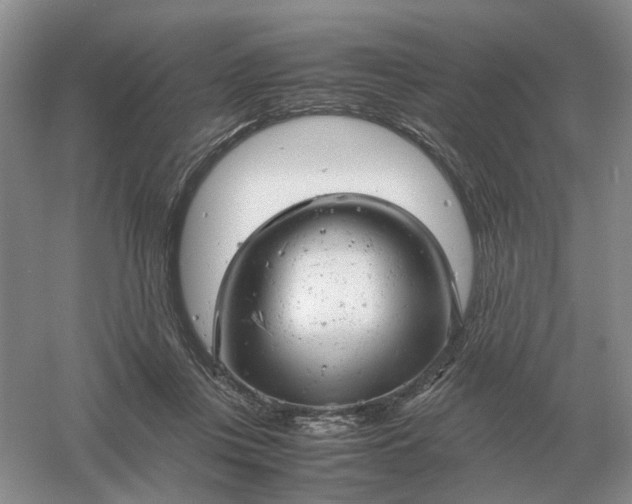 X0000061120359200512022159