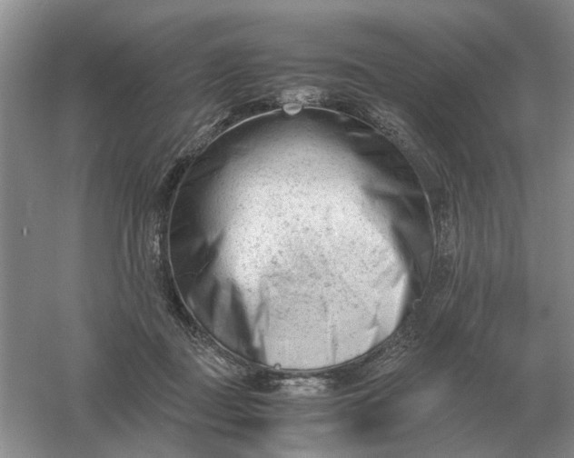 X0000061120363200512022159