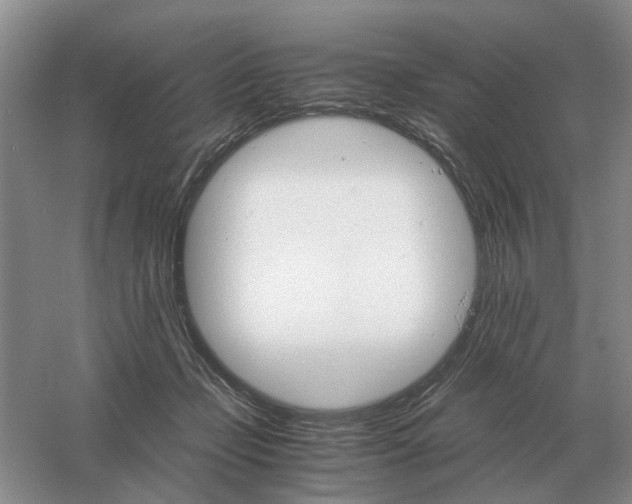 X0000061120365200512022159