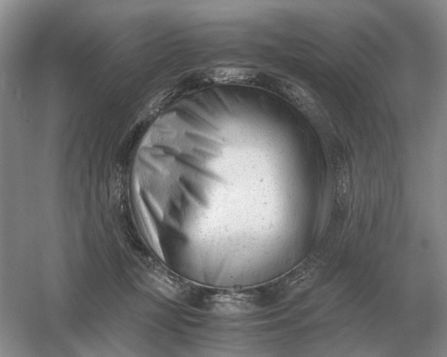 X0000061120367200512022159